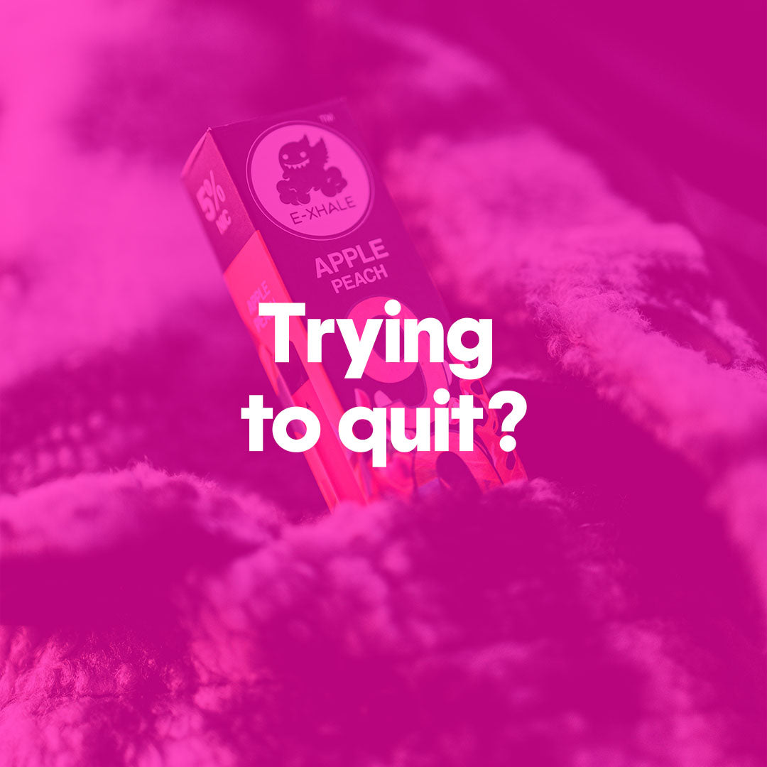 The Only Disposable Vapes You Need To Quit Smoking – E-XHALE