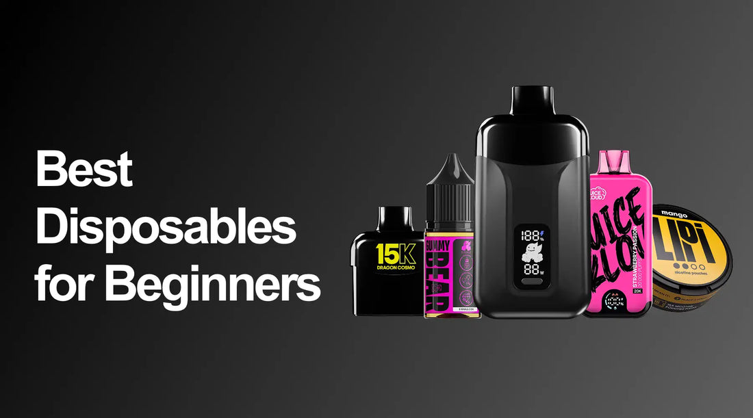 Best Disposable Vapes for Beginners in South Africa - E-XHALE