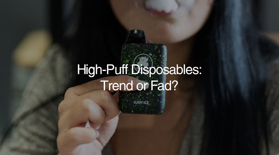 High Puff Disposable Vapes: Trend or Fad?