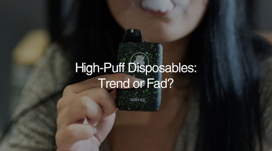 High Puff Disposable Vapes: Trend or Fad? - E-XHALE