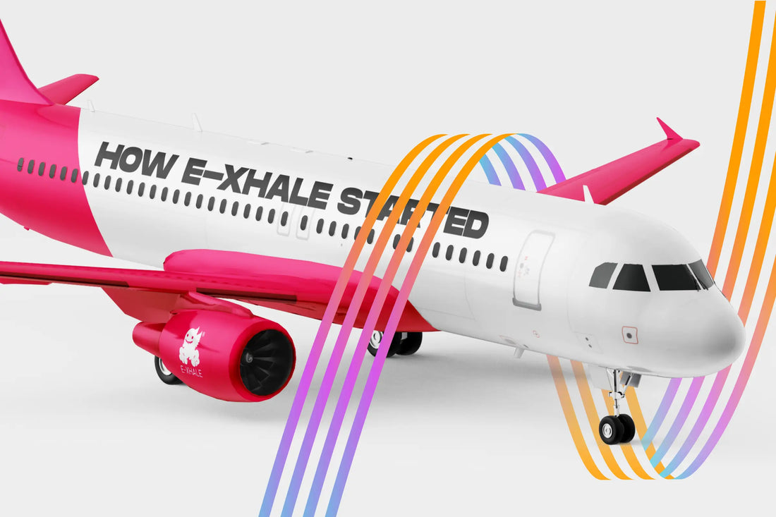 Part 1 of 3: The Bet - How E-XHALE Began With a Braai and R110,000