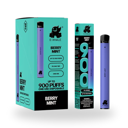 900 Berry Mint Disposable Vape 10-Pack - 5% Nicotine