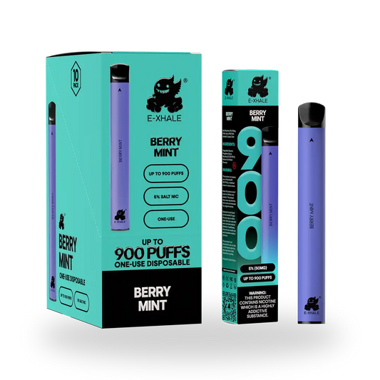 900 Berry Mint Disposable Vape 10-Pack - 5% Nicotine