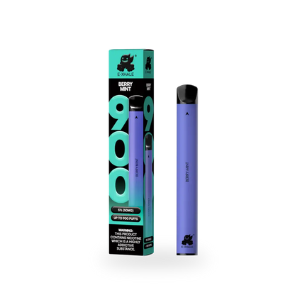 900 Berry Mint Disposable Vape 10-Pack - 5% Nicotine