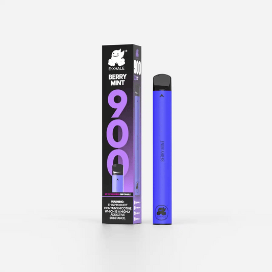 900 Berry Mint 5% - Single-Use Disposable