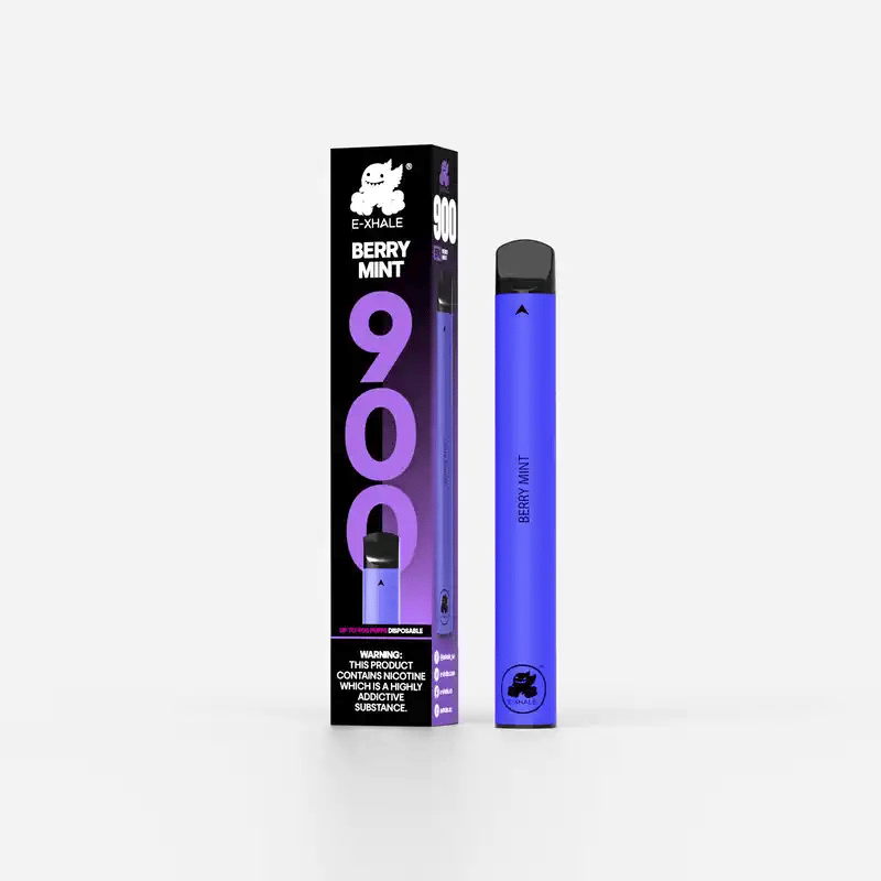 900 Berry Mint Disposable Vape - 5% Nicotine 50mg