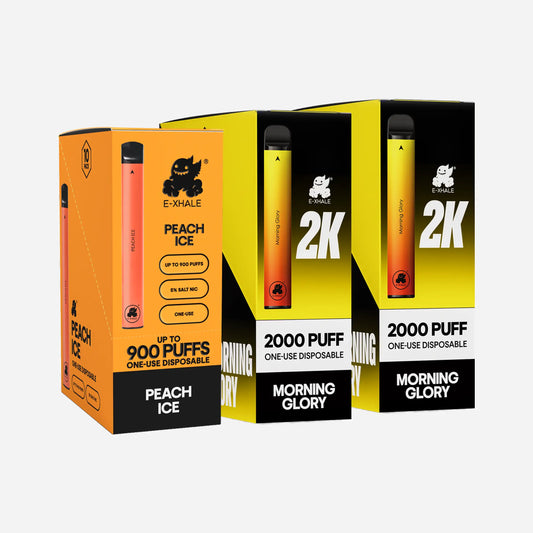 Morning Peach Mega Bundle | 30 Disposables