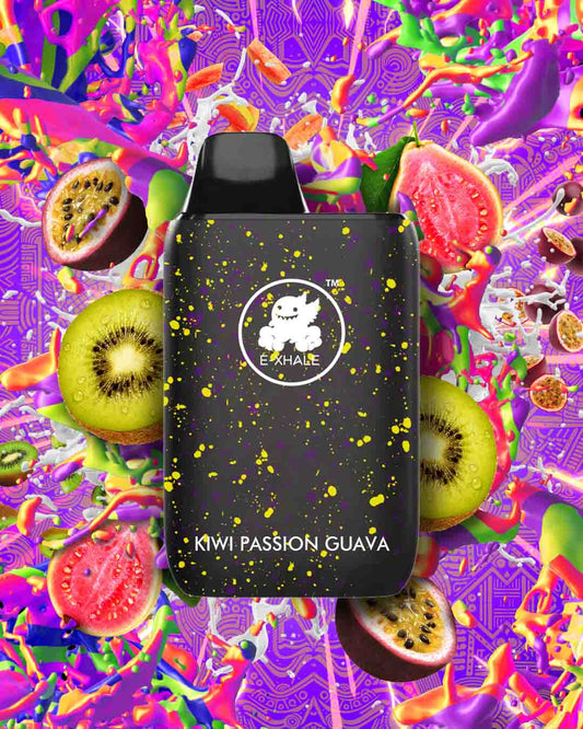 High-Puff Rechargeable Vape South Africa. Kiwi Passionfruit Guava. Cheapest and Highest Quality Vape South Africa. E-XHALE Disposable Vapes South Africa