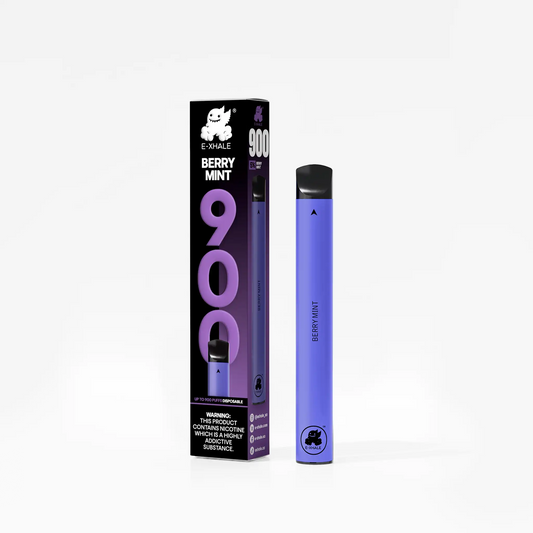 900 Berry Mint 5% - Single-Use Disposable